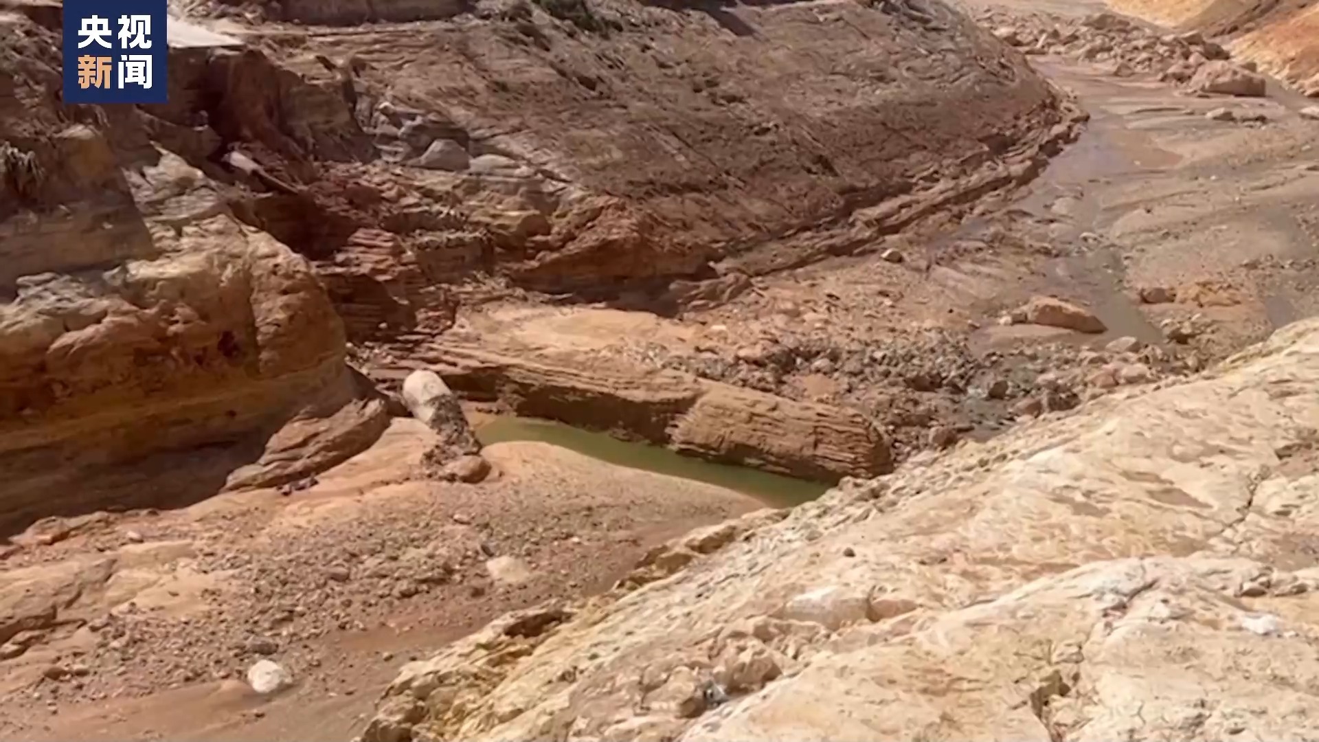 指尖十三水